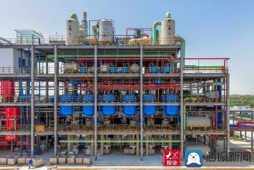 申請國家專利26項 成武縣晨暉環(huán)保科技公司產(chǎn)品總量占國內(nèi)的70