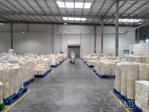 看宜路精彩丨興文 打造優(yōu)良營(yíng)商環(huán)境 賦能竹產(chǎn)業(yè)發(fā)展